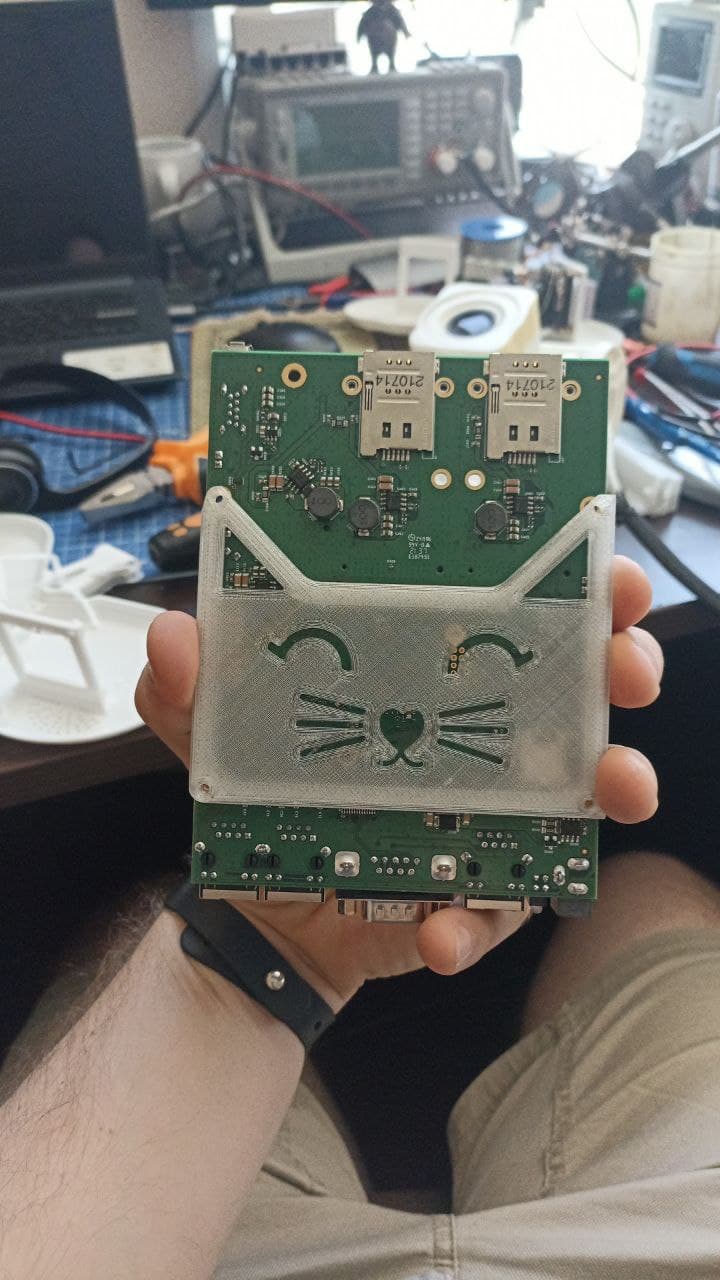 That board in the cat case